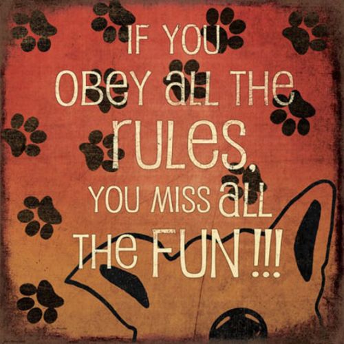 If You Obey All The Rules by Jo Moulton