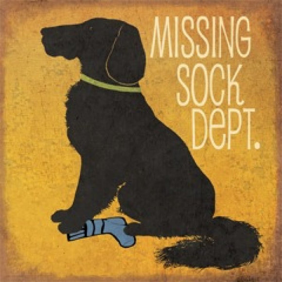 Missing Sock Department by Jo Moulton