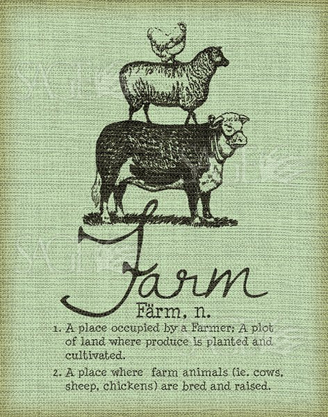 Farm by Jo Moulton