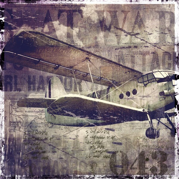 Vintage War Aircraft by Mindy Somners
