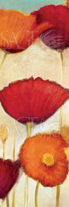 Poppies Con Agua II by Pied Piper