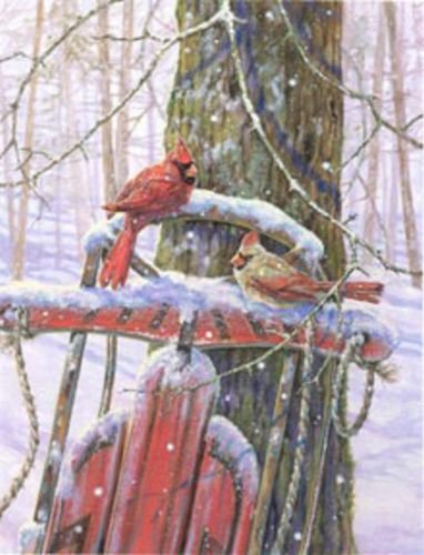 Red Sled With Cardinals by Donna Race