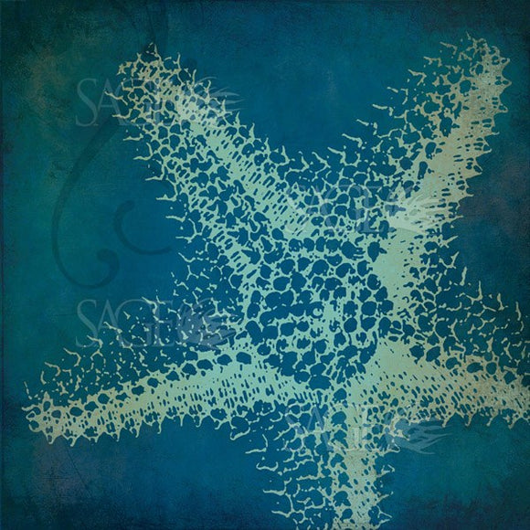 Blue Starfish by Stephanie Marrott