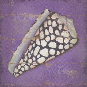 Speckled Shell by Stephanie Marrott