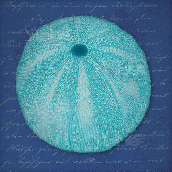 Blue Urchin by Stephanie Marrott