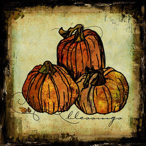 Pumpkins by Sally Barlow