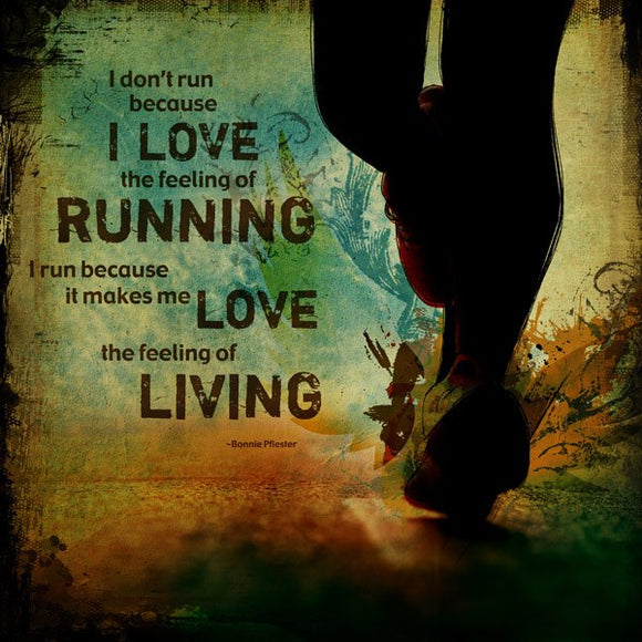 I Run Because It Makes Me Love Living by Sally Barlow