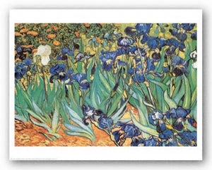 Iris Garden by Vincent Van Gogh