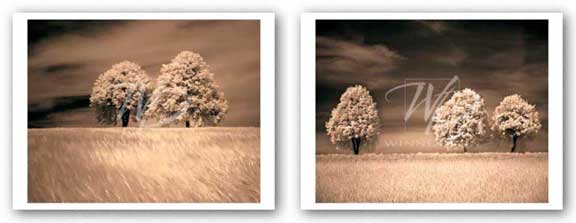 Together and Alone I and II Set - sepia by artist by Ily Szilagyi