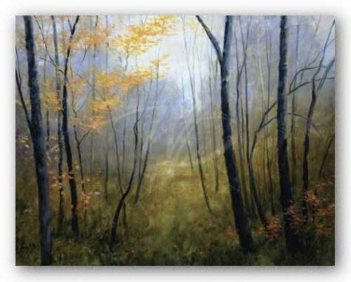 Woodland Mist by Robert Striffolino