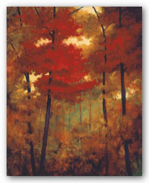 Autumn Woods by Robert Striffolino