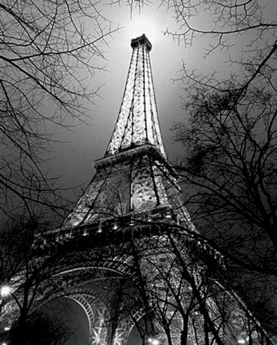 Sa Majeste La Tour Eiffel by Antoine Carrara