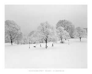 Prospect Park Brooklyn in Snow by Henri Silberman