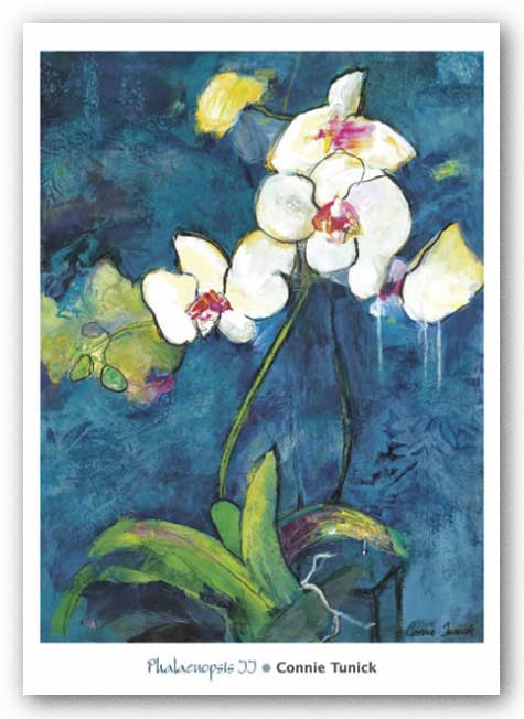 Phalaenopsis II by Connie Tunick