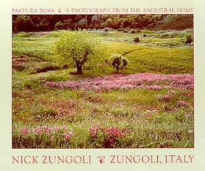 Pastura Rosa by Nick Zungoli