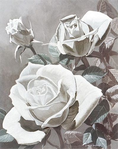 White Roses by Marianne Hornbuckle