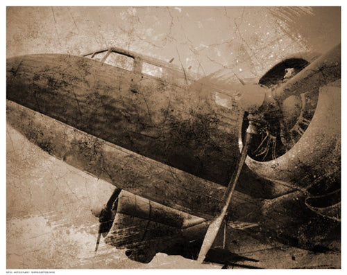 Antique Plane I