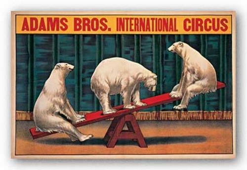 Adams Bros. International Circus (Polar Bears on Seesaw)