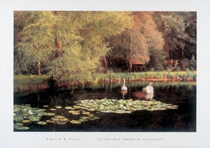 The Lily Pond Shudbrook Near Lincoln by Edward R. Taylor