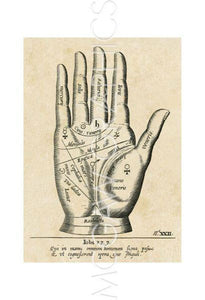 Palmistry: Palm Diagram