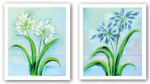 Agapanthus Set by Dona Turner