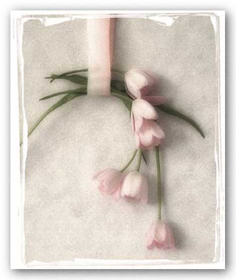 Hanging Tulips by Judy Mandolf