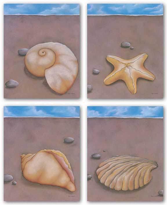 Sand, Shell and Sky Set by Phyl Schock