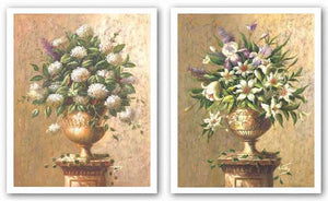 Floral Expressions Set by Welby