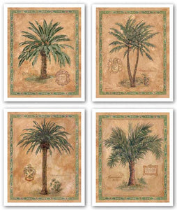 Palm Carpoxylon-Phoenix Reclinata-Cocos Nucifera-Phoenix Canariensis Set by Betty Whiteaker