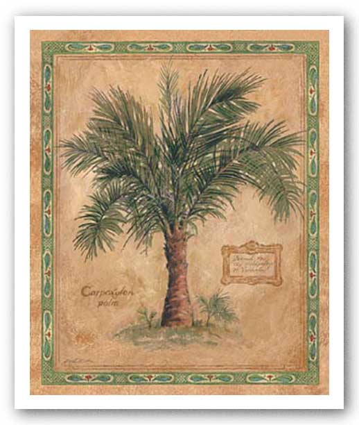 Palm Carpoxylon by Betty Whiteaker