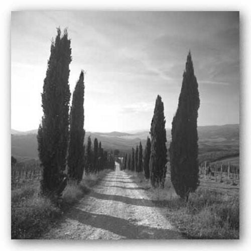 Mensano, Tuscany by Charlie Waite