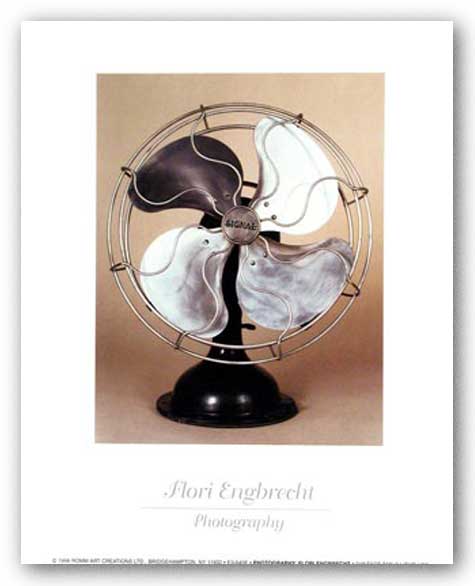Vintage Fan I by Flori Engbrecht
