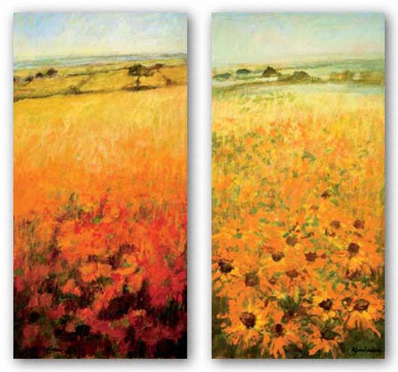 Field With Sunflowers and Field With Poppies Set by Ken Hildrew