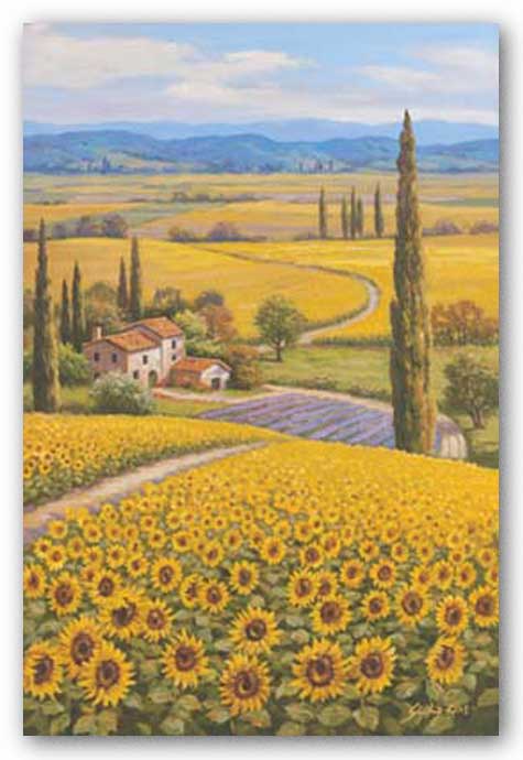 Sunflower Field by Sung Kim