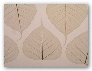 Sheer Leaves II by Art Photo