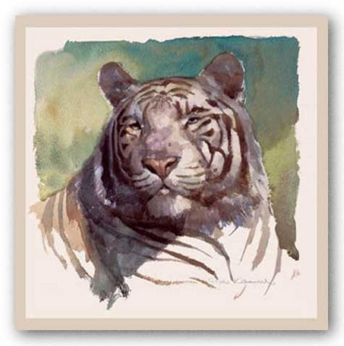 Tiger Portrait by Stan Kaminski