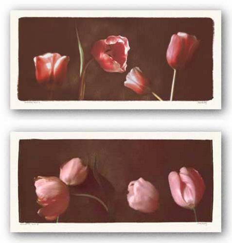Illuminating Tulips Set by Judy Mandolf