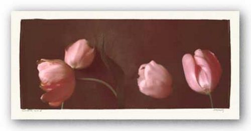 Illuminating Tulips II by Judy Mandolf