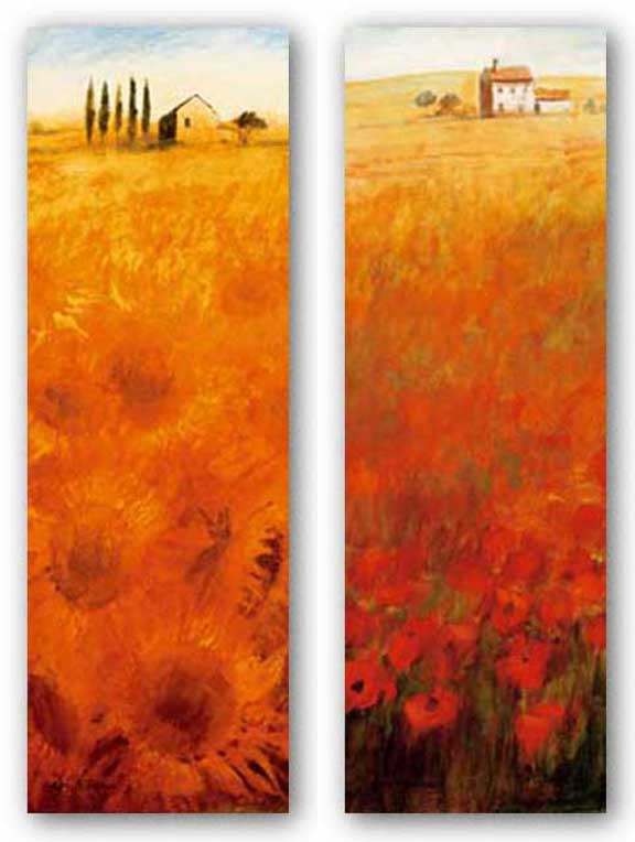 Colors Of Summer-Fields of Gold Set by Ken Hildrew