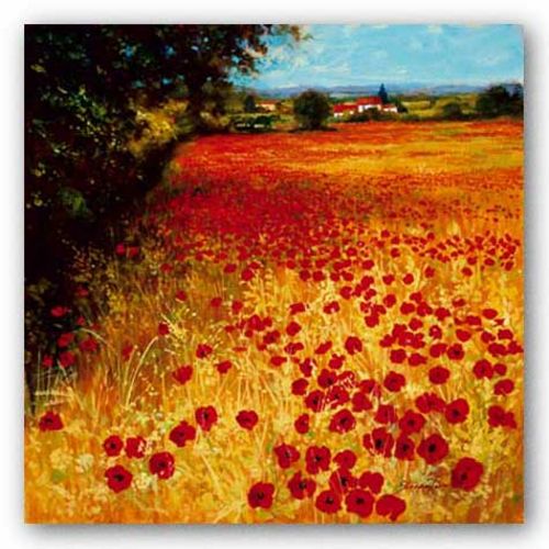 Field Of Red And Gold by Steve Thoms