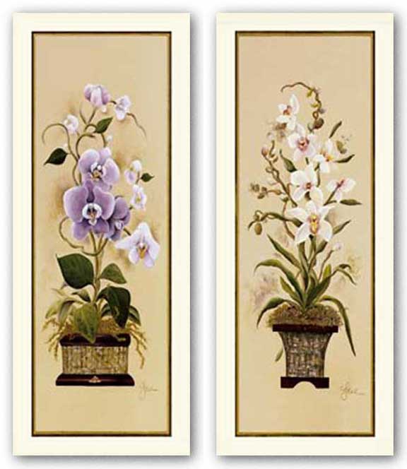 Orchid Set by Constance Lael