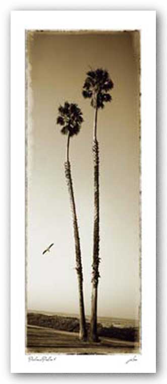 Palmae Palm I by joSon
