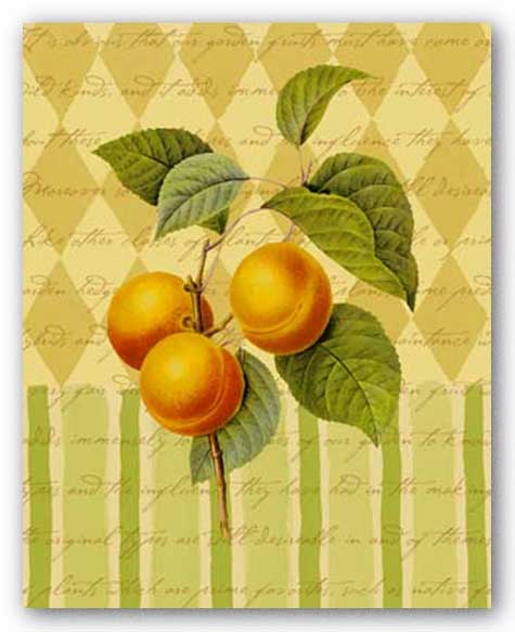 Botanical Apricot by Studio Voltaire