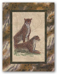 Cheetahs by Janet Kruskamp