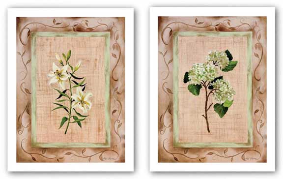 Country Lily amd Hydrangea Set by Paige Houghton