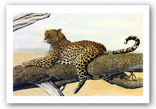 Resting Leopard by Charles Berry