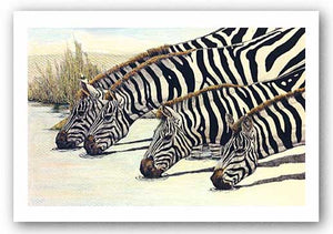 Four Zebras Drinking by Charles Berry