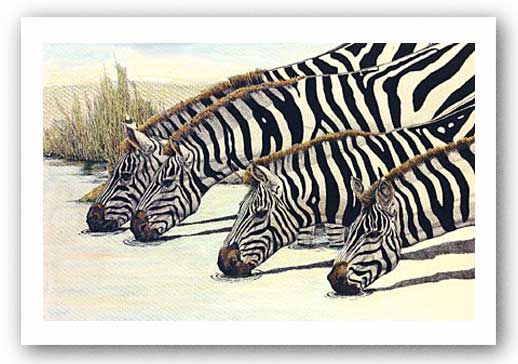 Four Zebras Drinking by Charles Berry