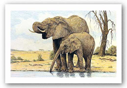 Elephants By The Waterhole by Charles Berry
