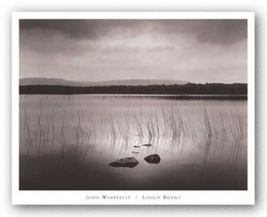 Lough Bunny by John Wimberly